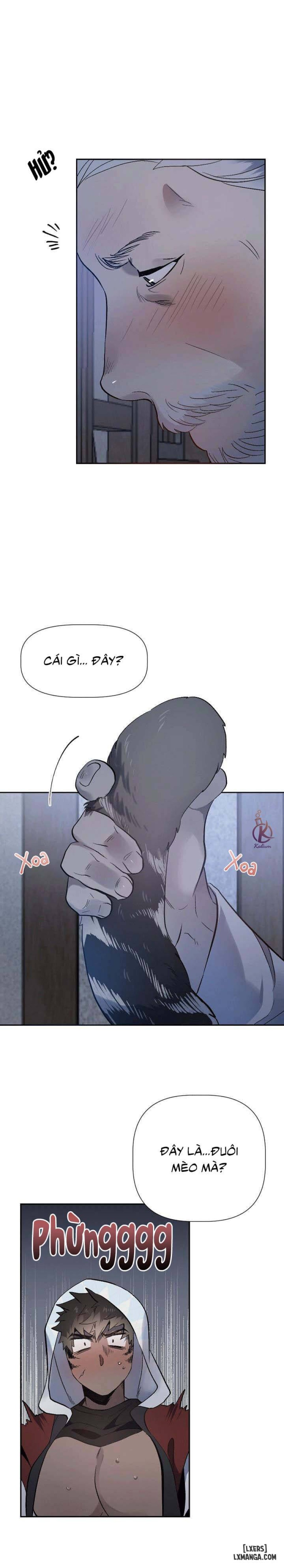 Nụ hôn ác mộng 