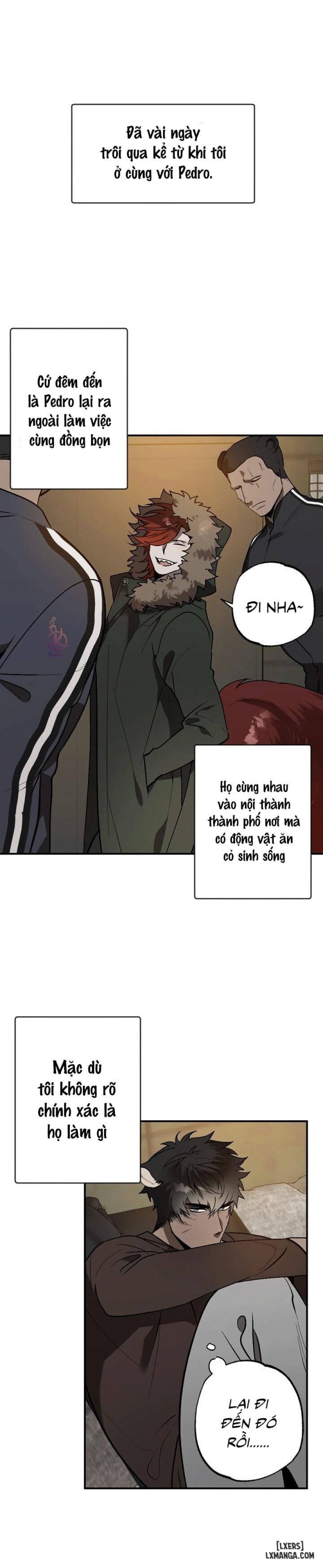 Nụ hôn ác mộng 
