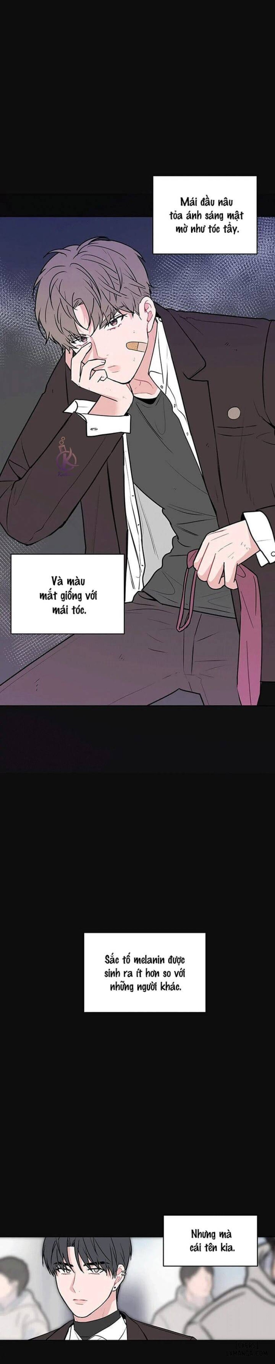 Cảnh báo mưa lớn 