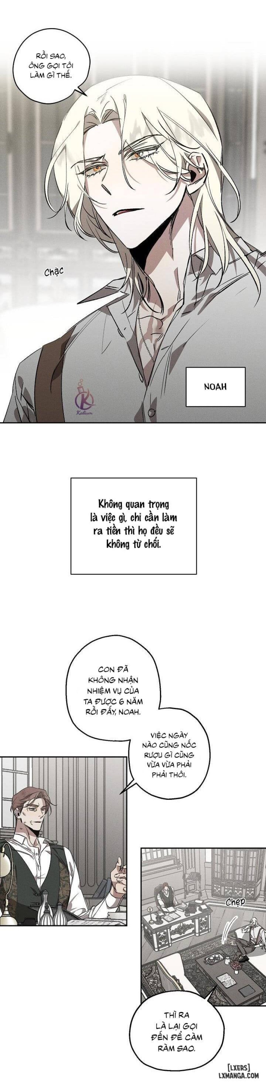 Vườn hoa oải hương nở 