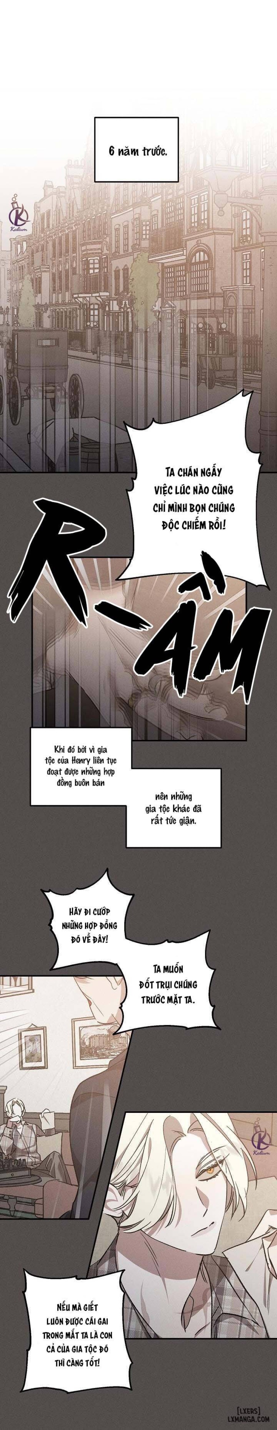 Vườn hoa oải hương nở 