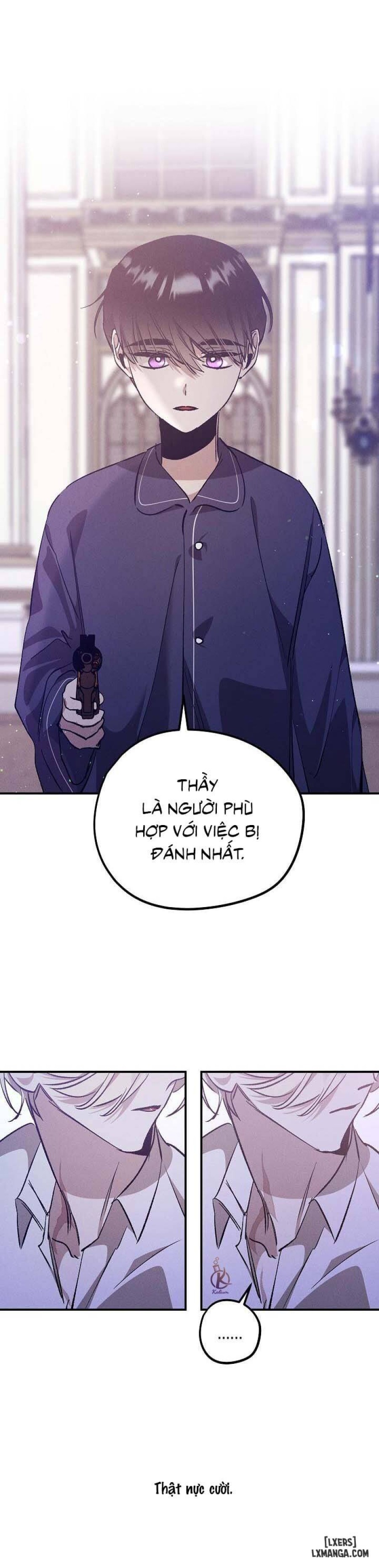 Vườn hoa oải hương nở 