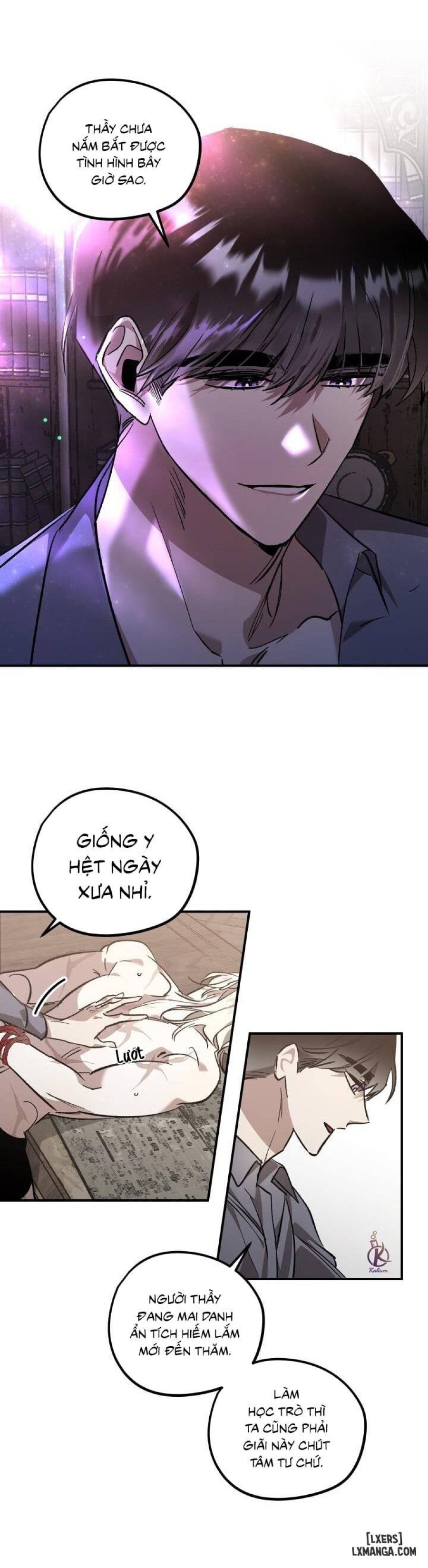 Vườn hoa oải hương nở 