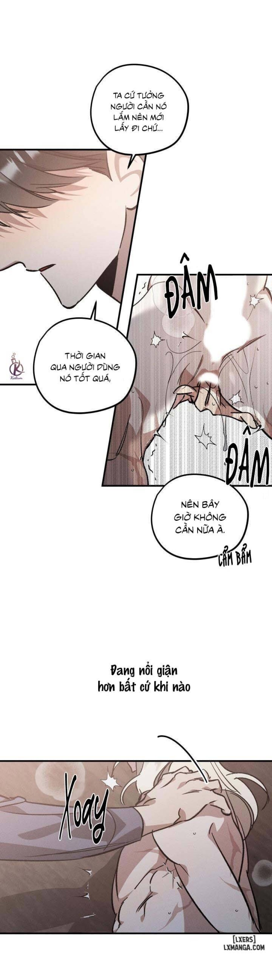 Vườn hoa oải hương nở 
