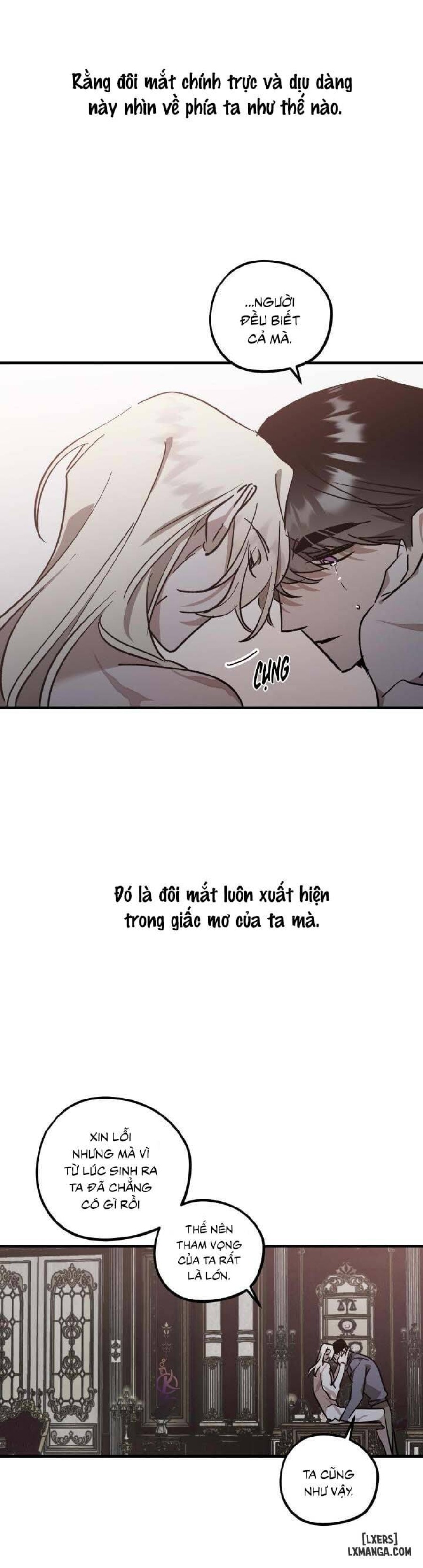 Vườn hoa oải hương nở 