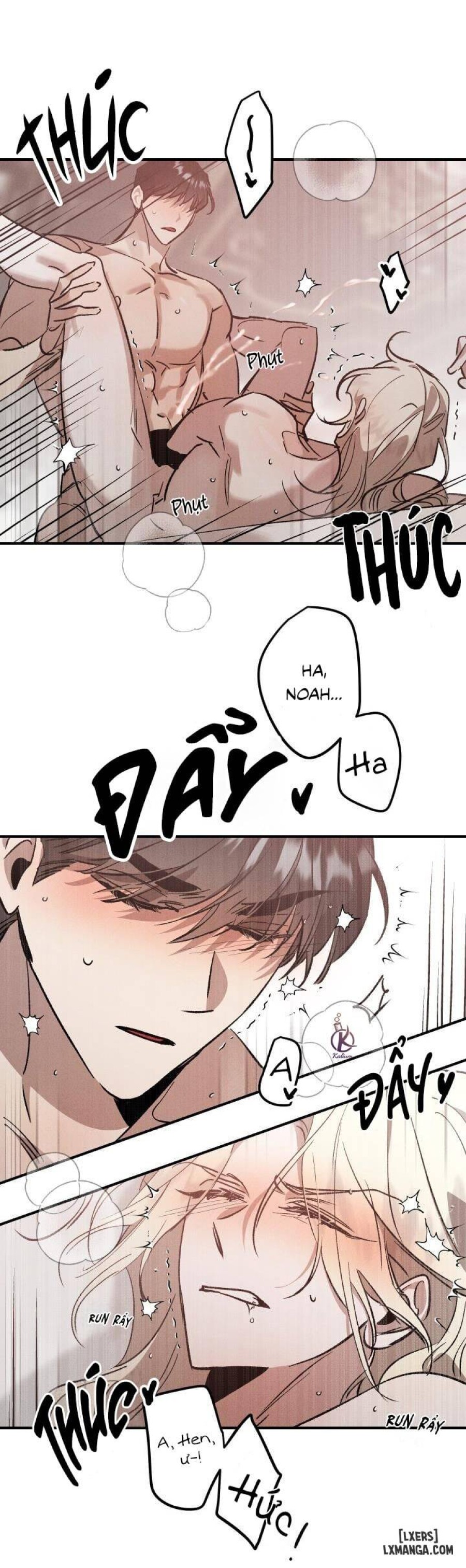 Vườn hoa oải hương nở 