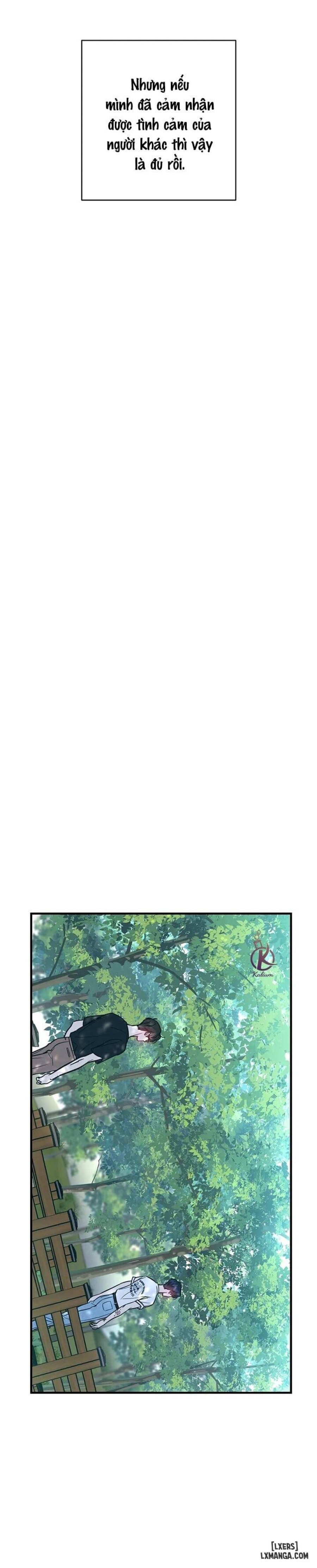 Tình yêu ngây dại 