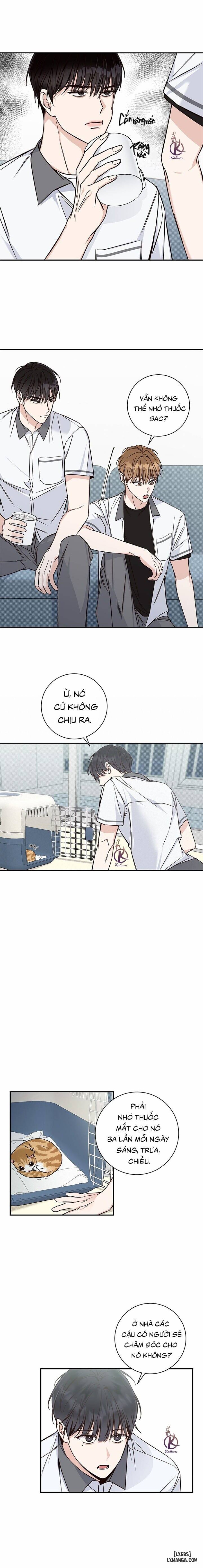 Mùa hạ 