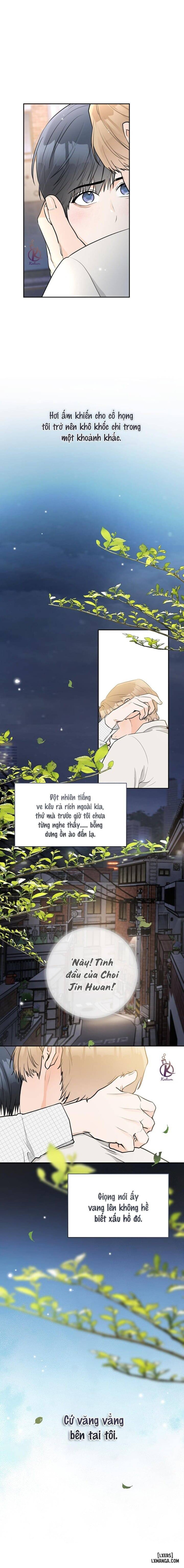 Chuyện tình của B 