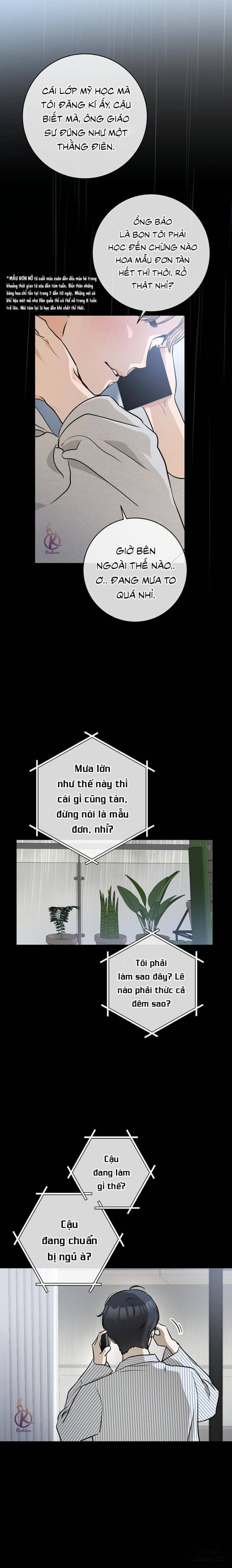 Chuyện tình của B 