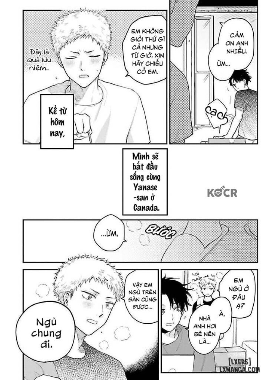 Senpai, Danjite Koidewa! 