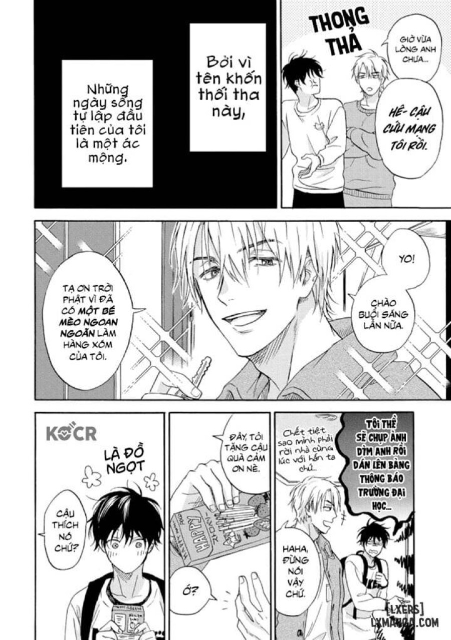Tadareta Koi ni wa Itashimasen! 
