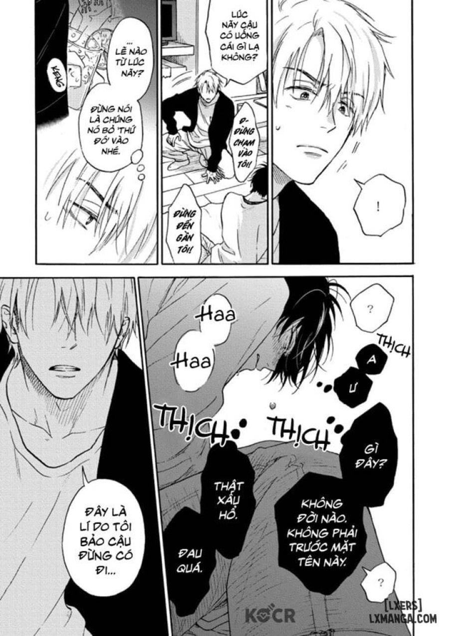 Tadareta Koi ni wa Itashimasen! 