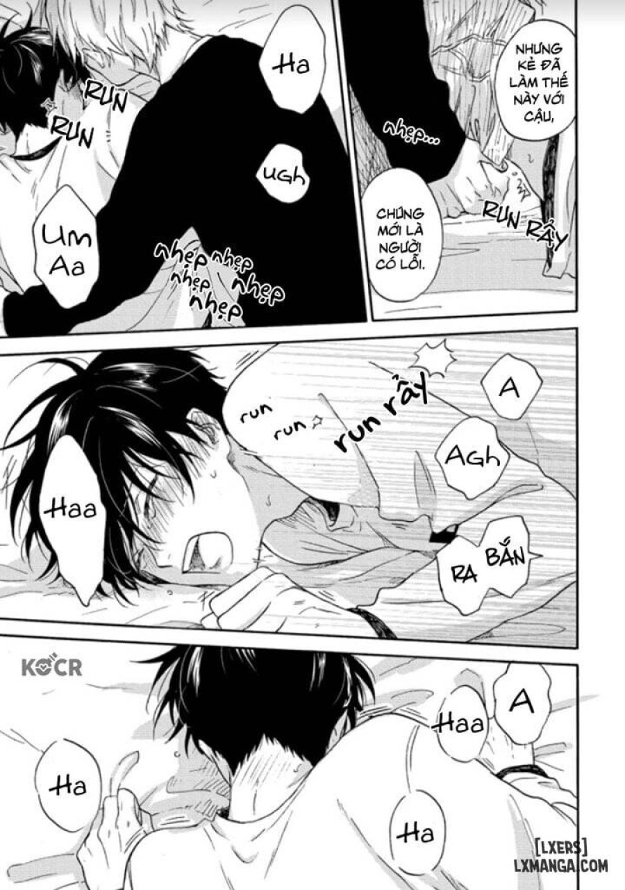 Tadareta Koi ni wa Itashimasen! 