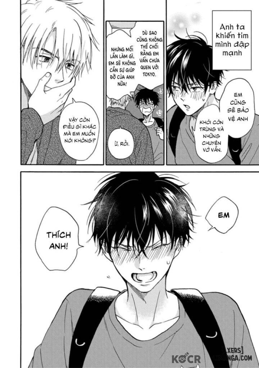 Tadareta Koi ni wa Itashimasen! 