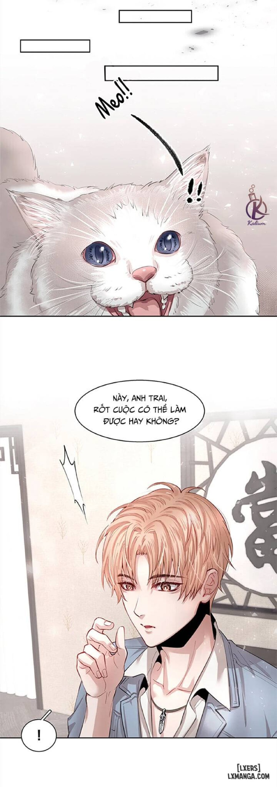 Phi âu bất hạ 