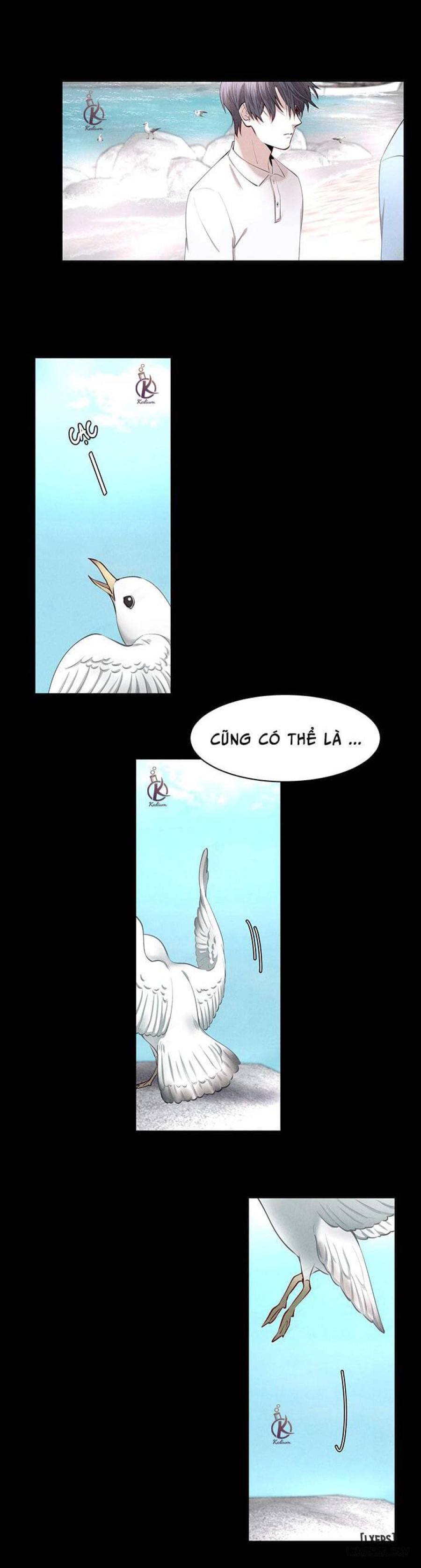 Phi âu bất hạ 
