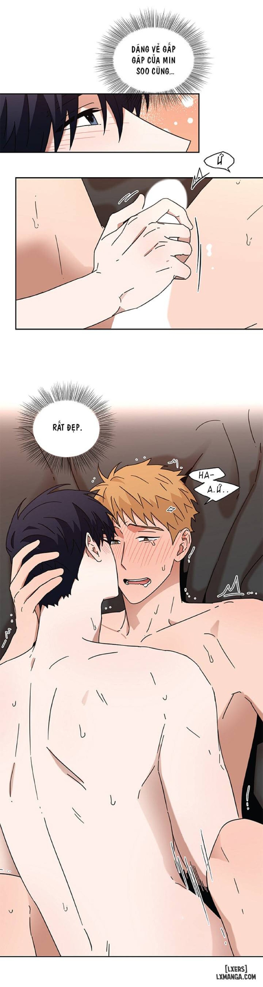 Cậu sẽ ghét tớ 