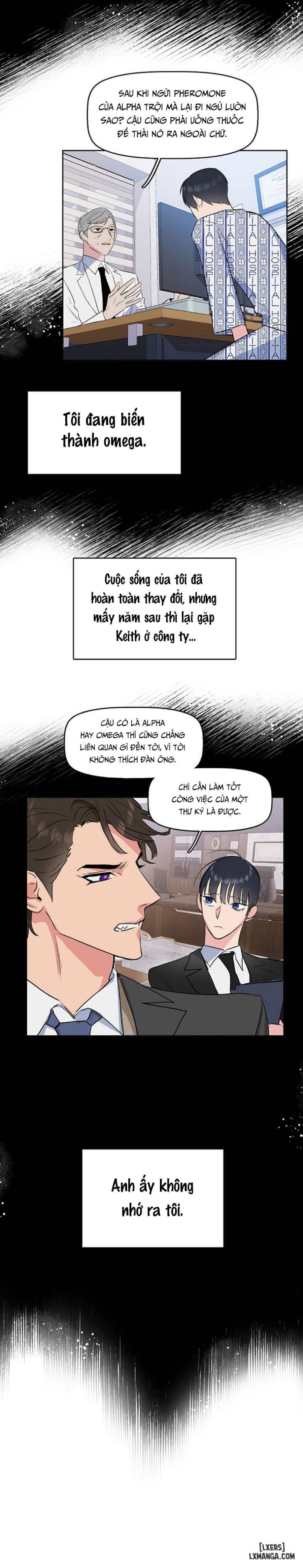 Hôn tôi đi, kẻ dối trá 