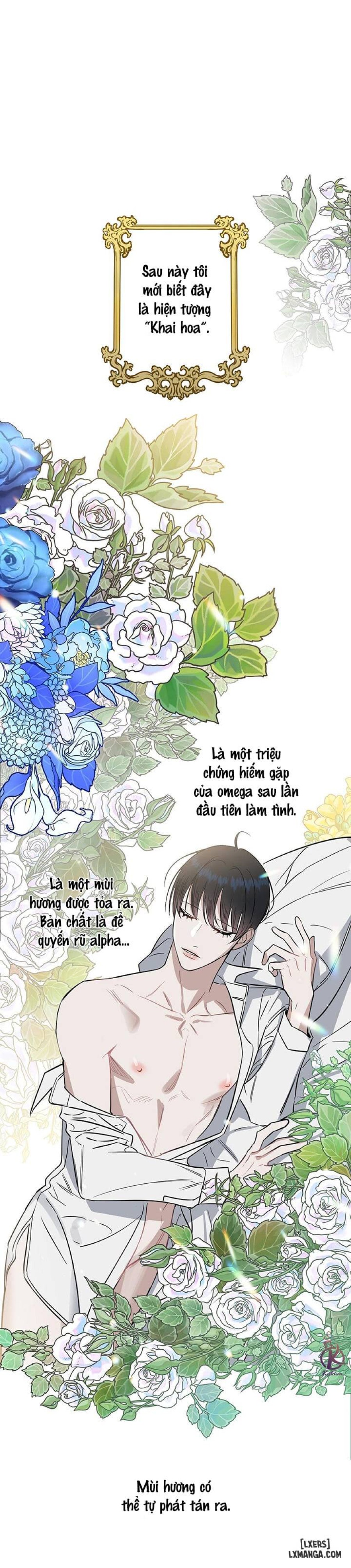 Hôn tôi đi, kẻ dối trá 