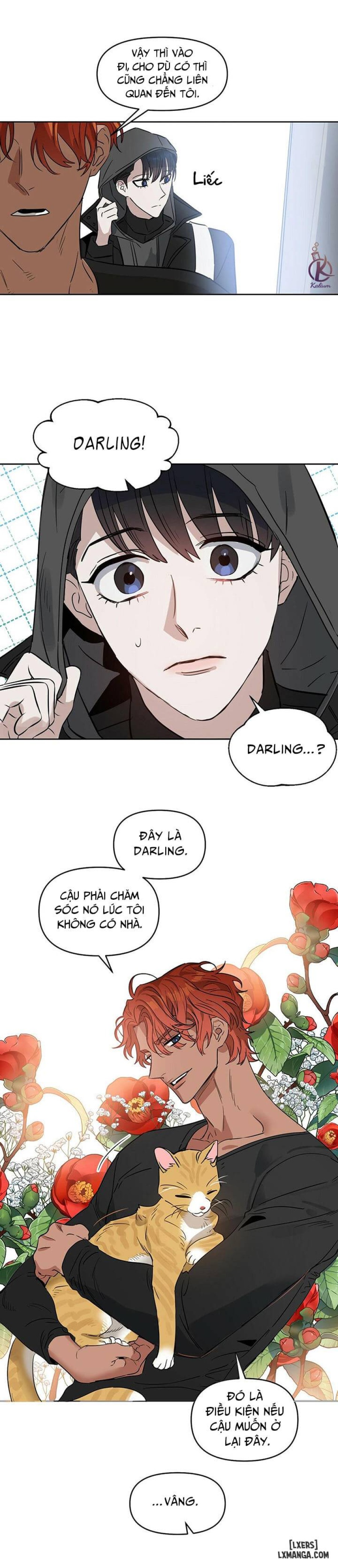 Hôn tôi đi, kẻ dối trá 