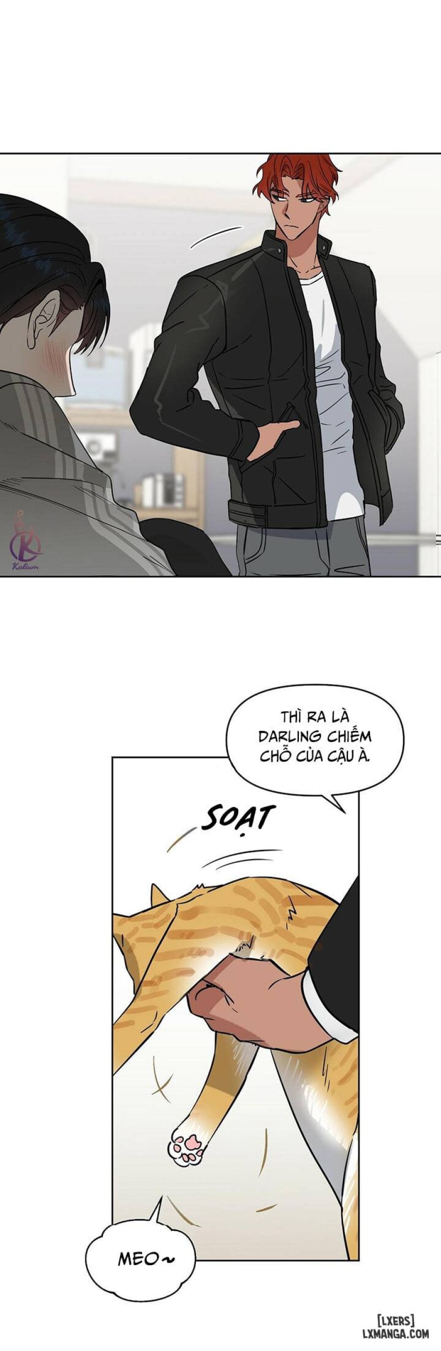 Hôn tôi đi, kẻ dối trá 