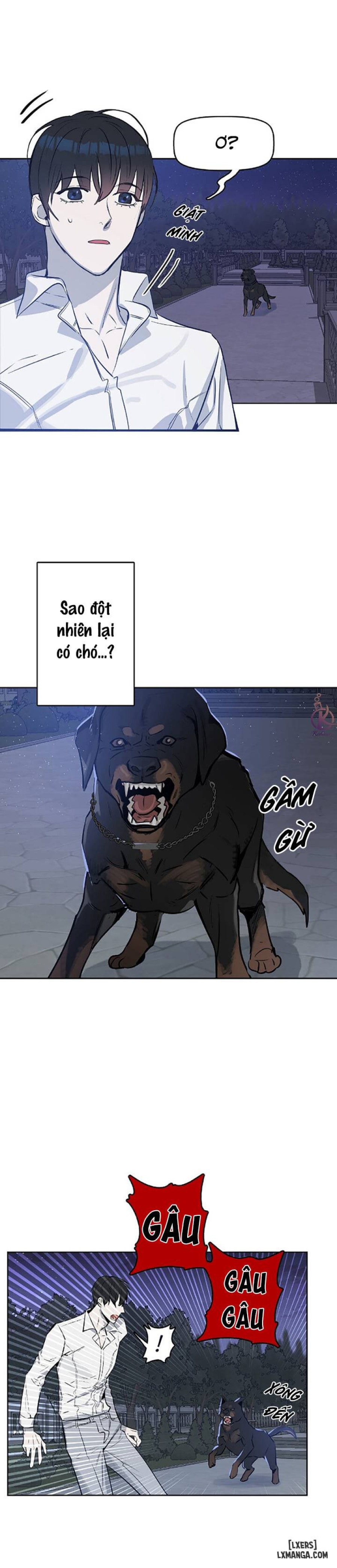 Hôn tôi đi, kẻ dối trá 