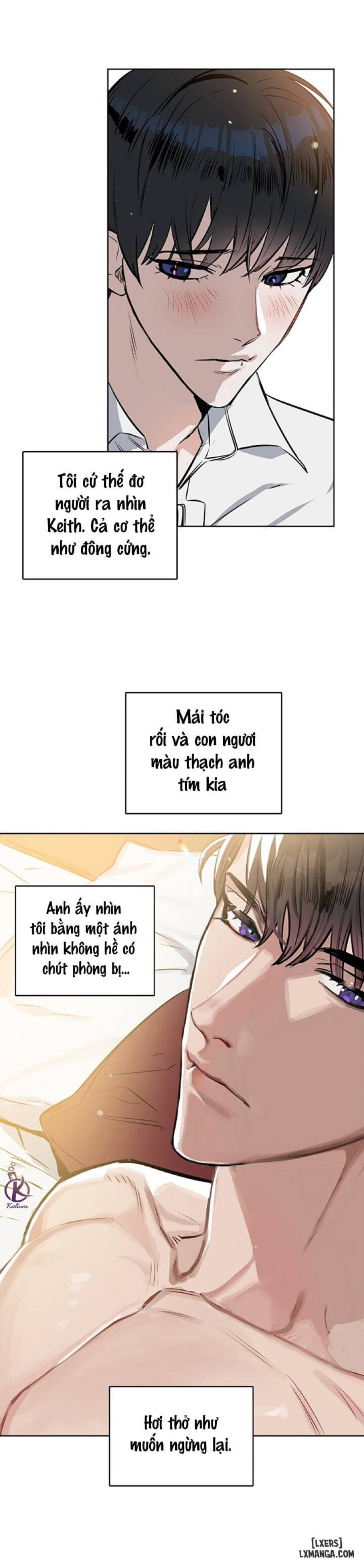 Hôn tôi đi, kẻ dối trá 