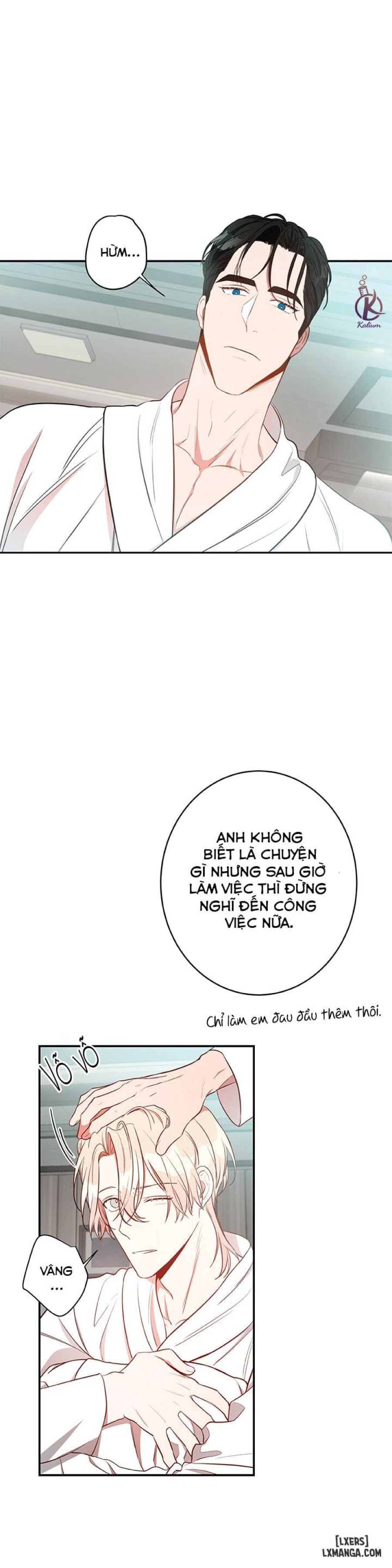 Quả táo lớn 
