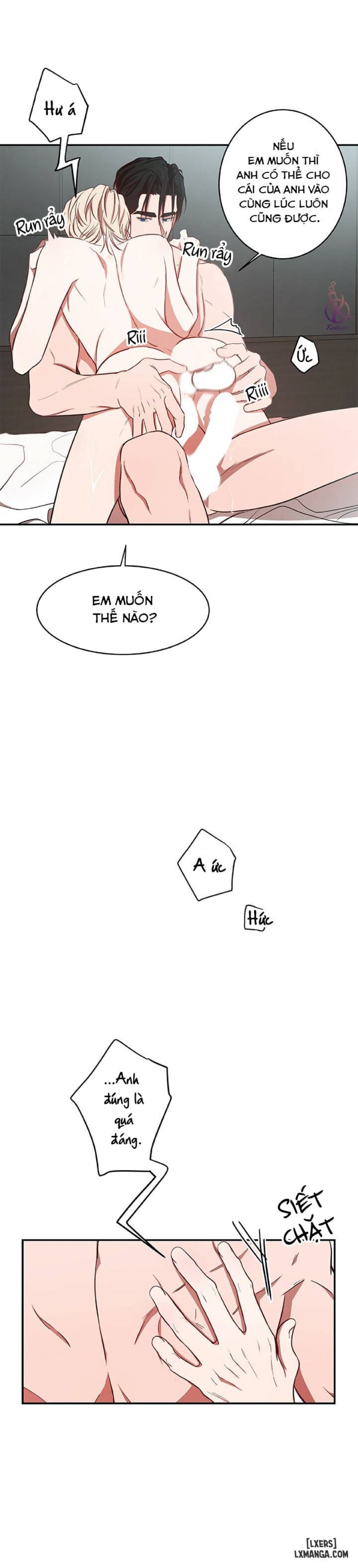 Quả táo lớn 