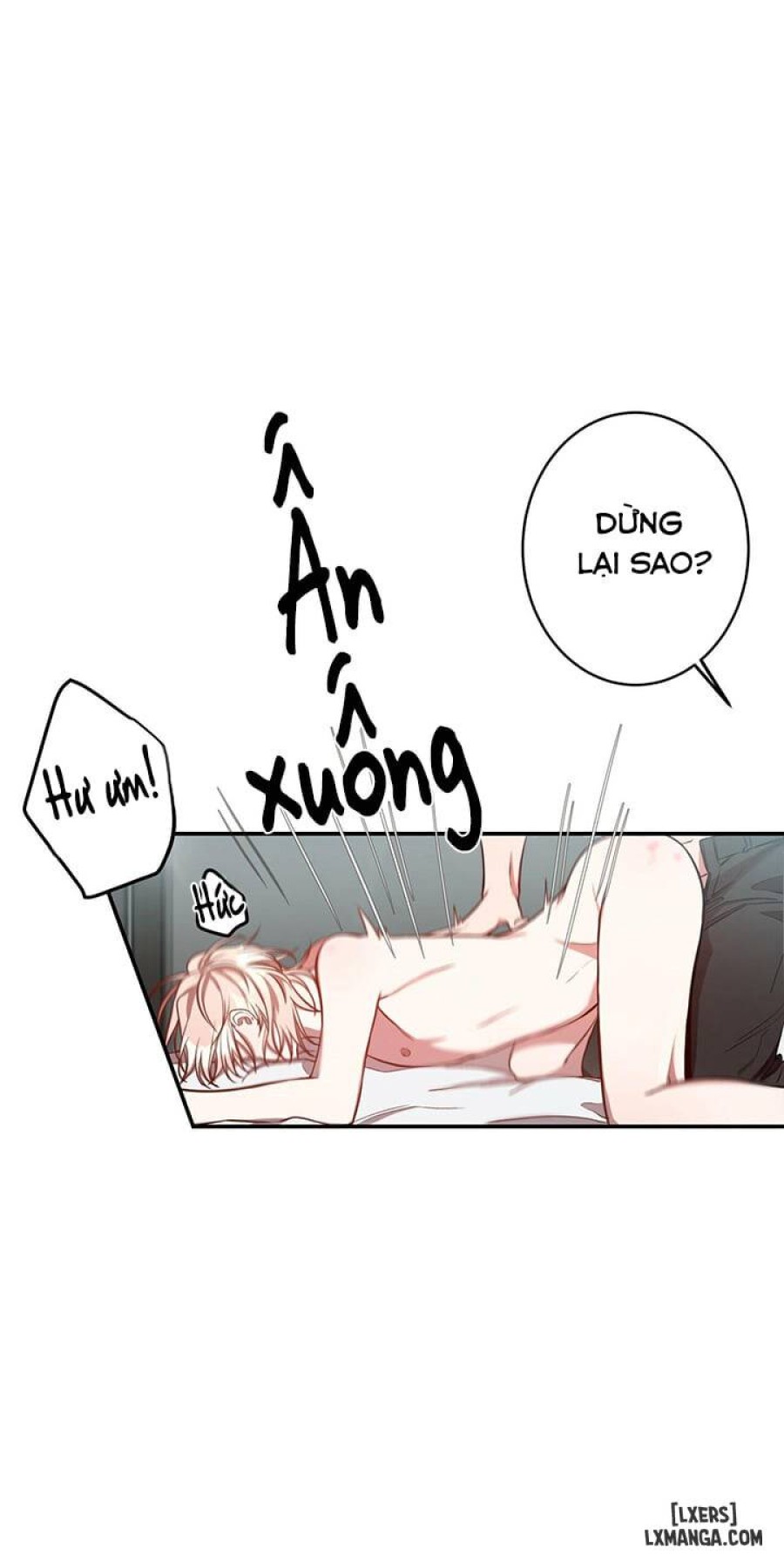 Quả táo lớn 