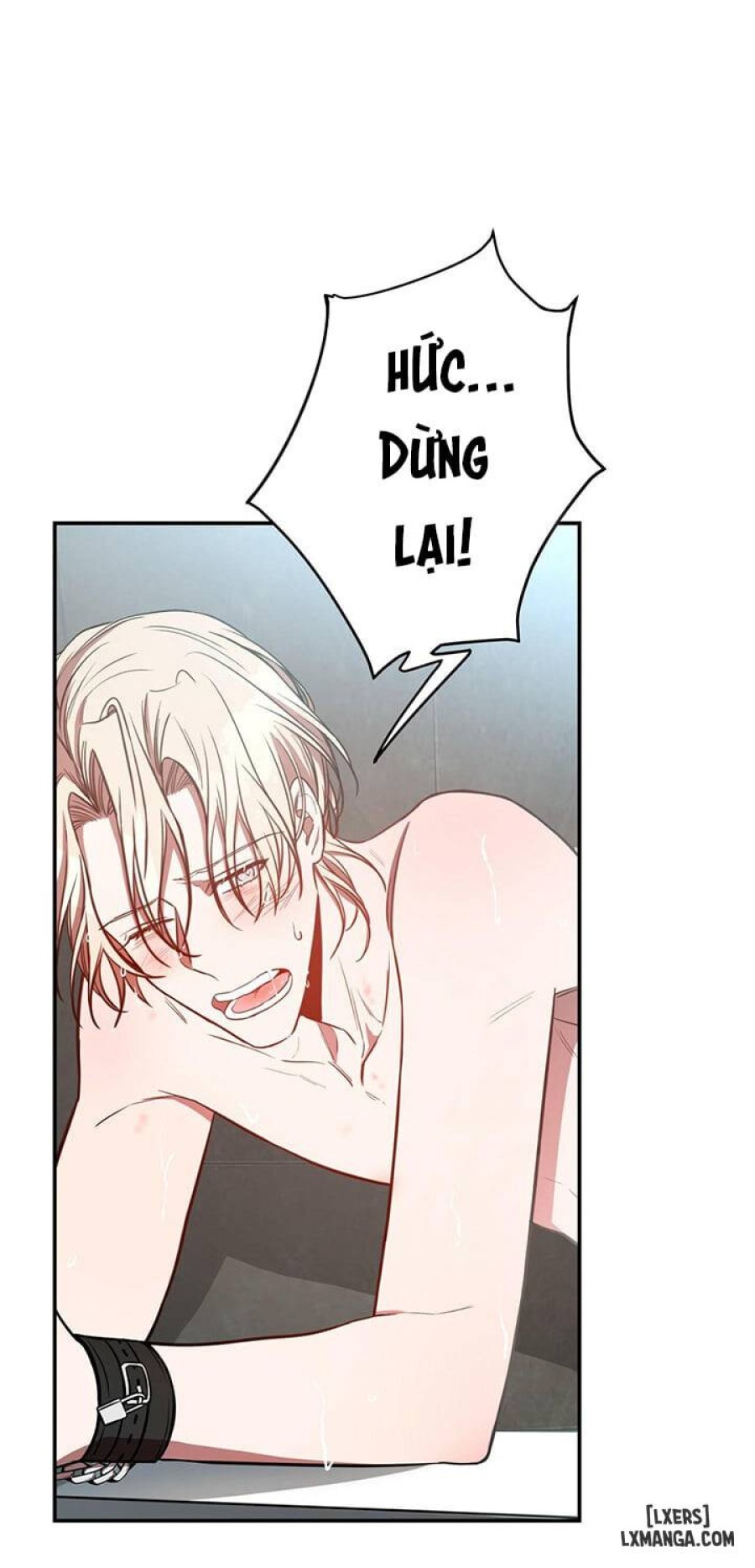 Quả táo lớn 