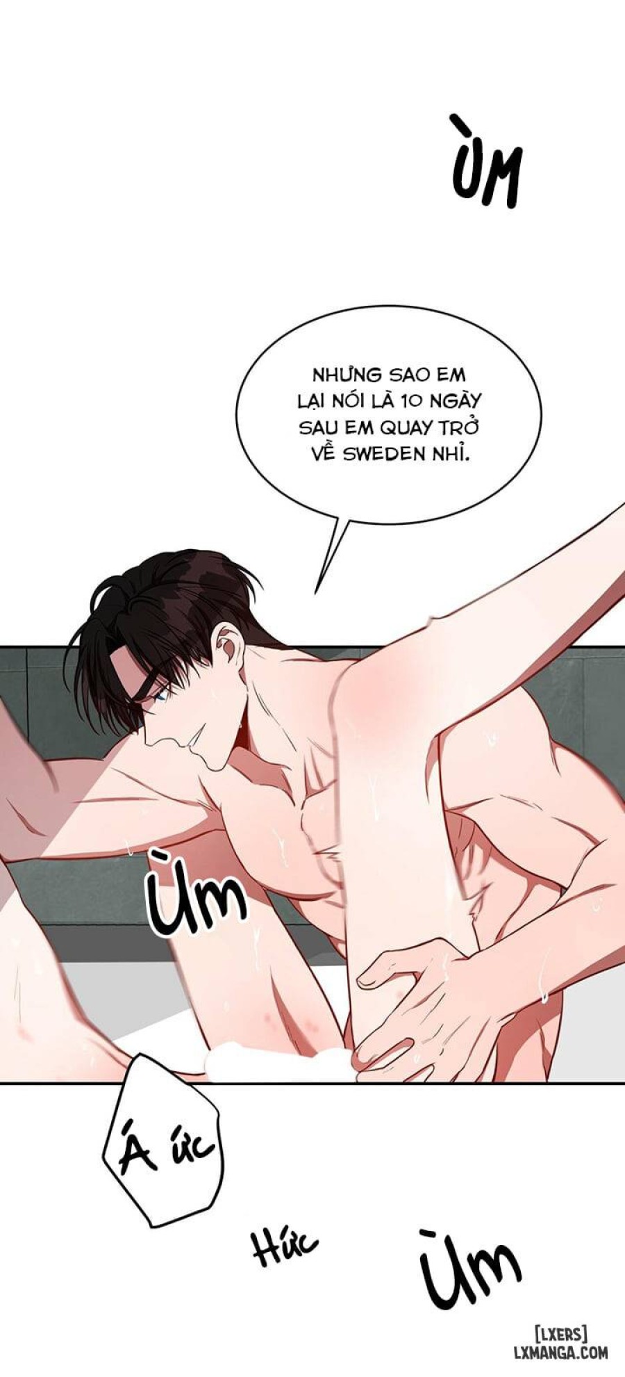 Quả táo lớn 