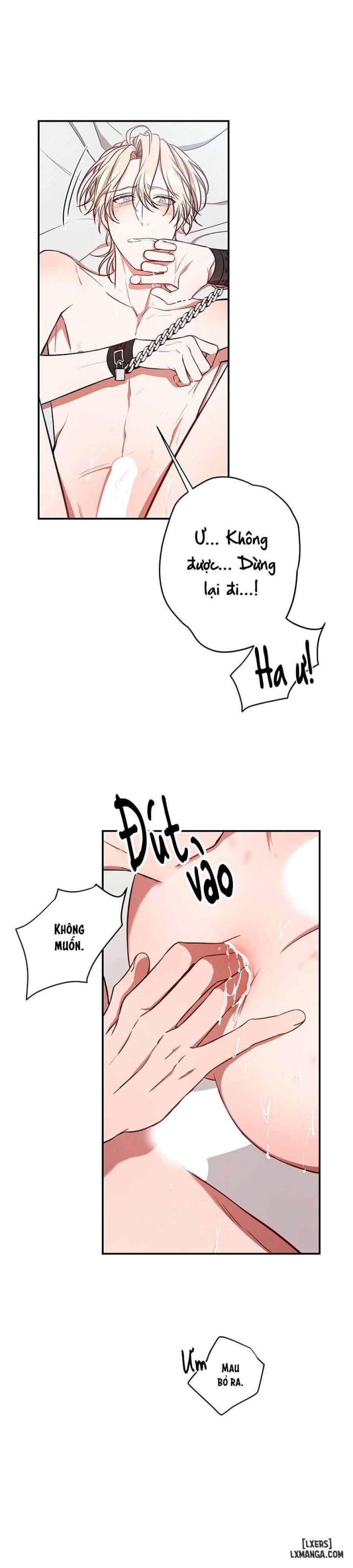 Quả táo lớn 