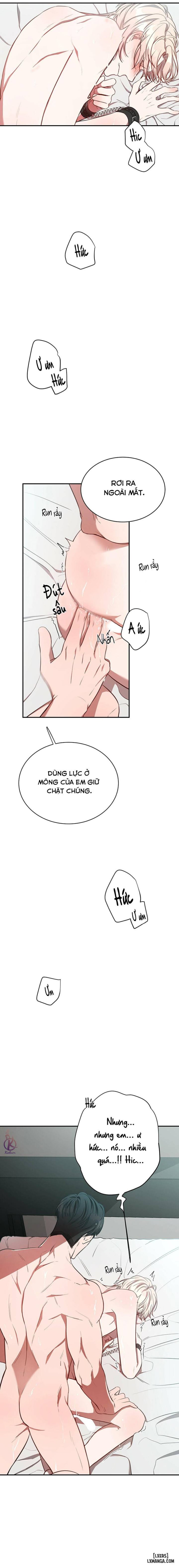 Quả táo lớn 
