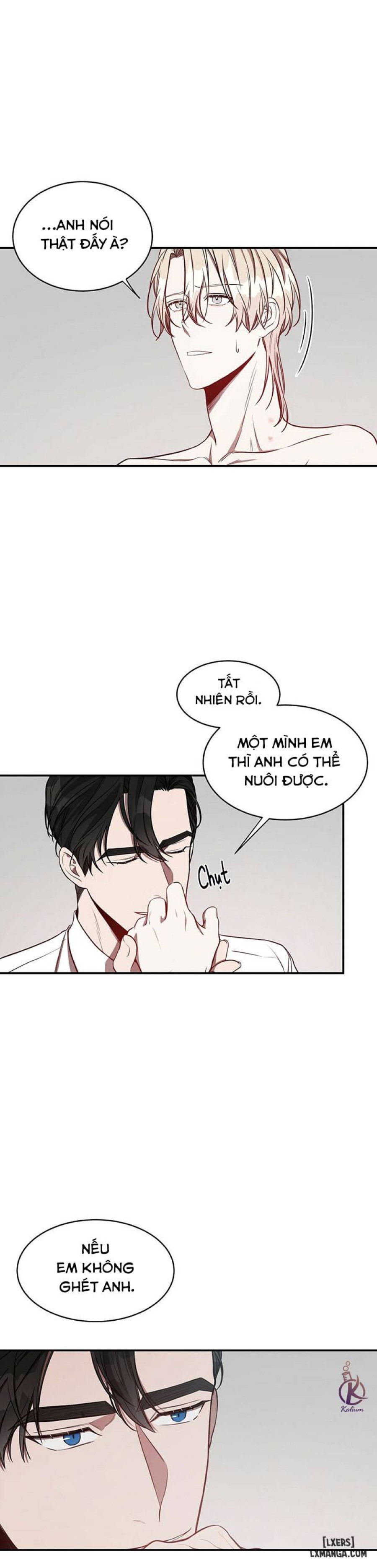 Quả táo lớn 