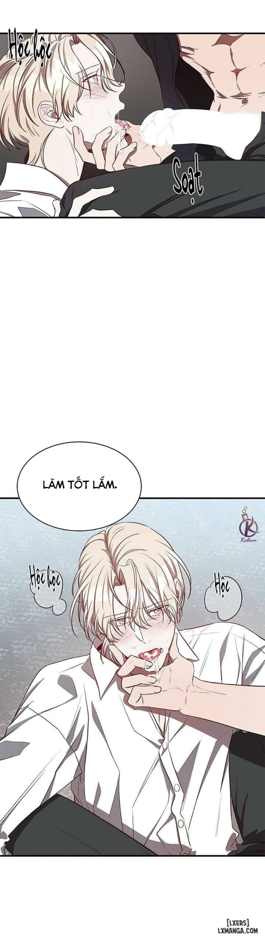 Quả táo lớn 