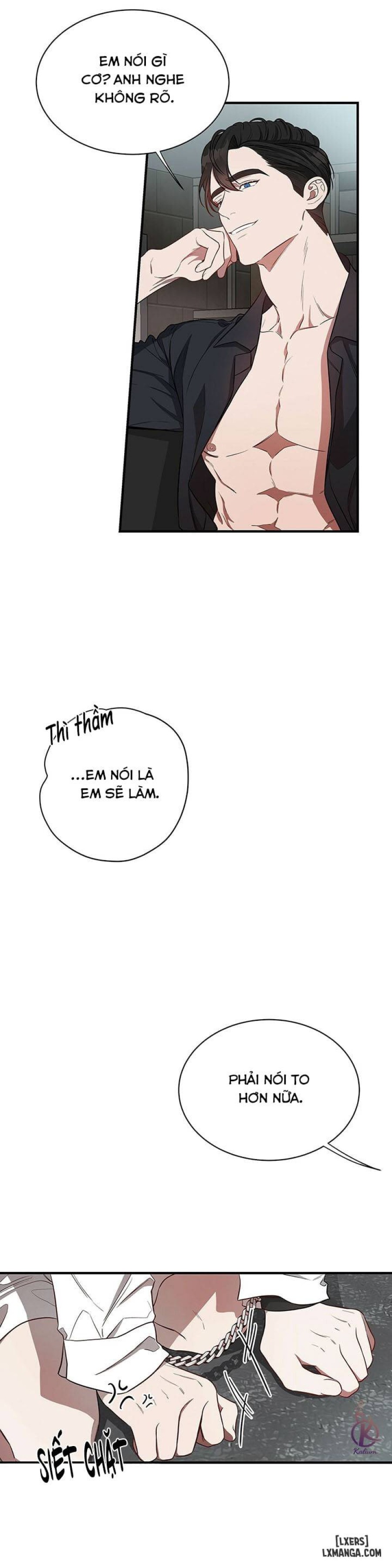 Quả táo lớn 