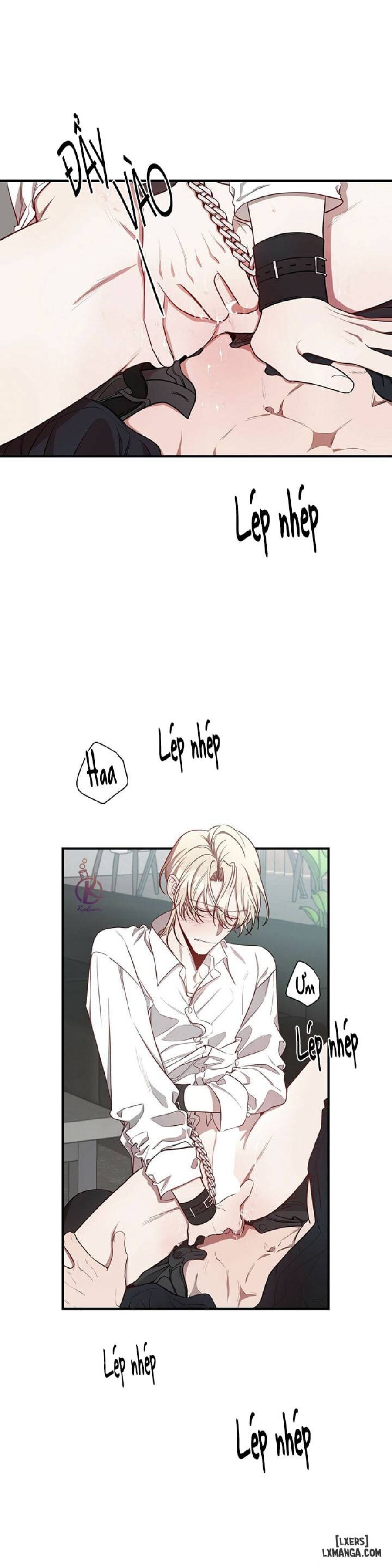 Quả táo lớn 