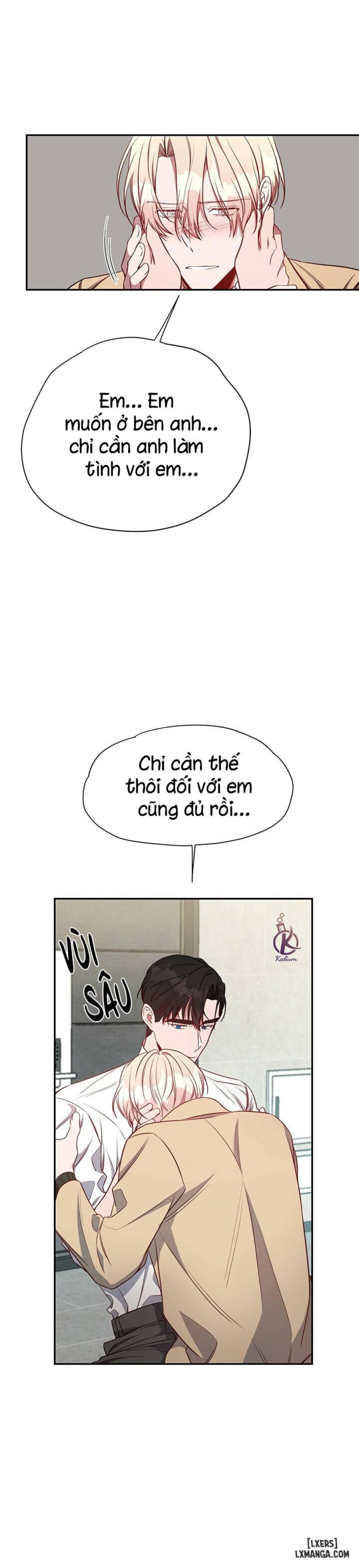 Quả táo lớn 