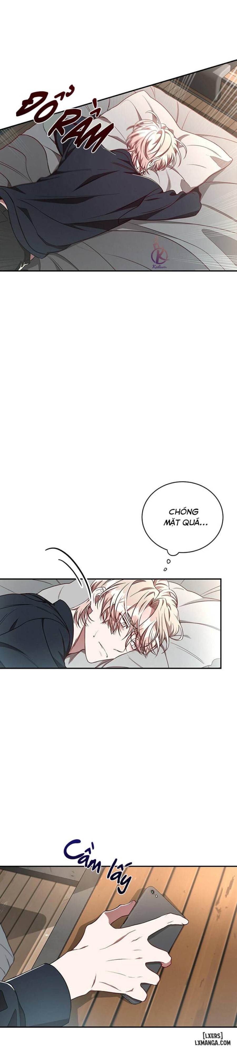 Quả táo lớn 