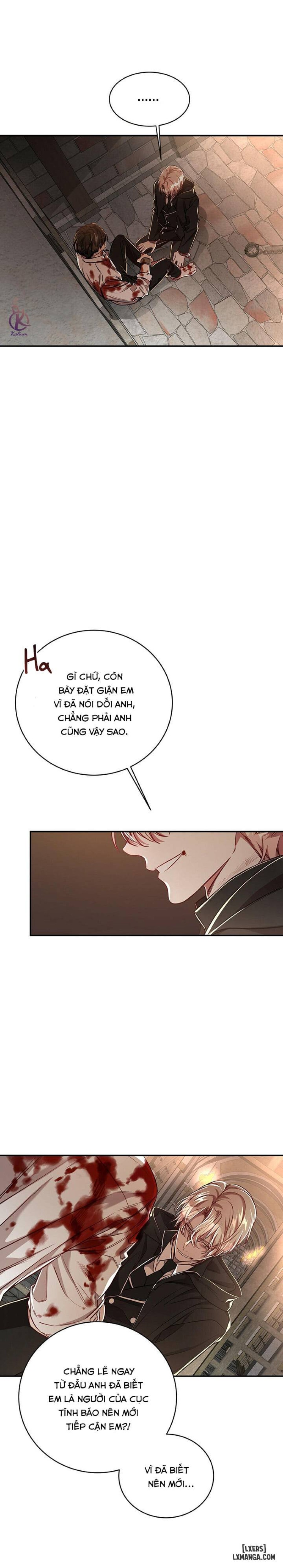 Quả táo lớn 