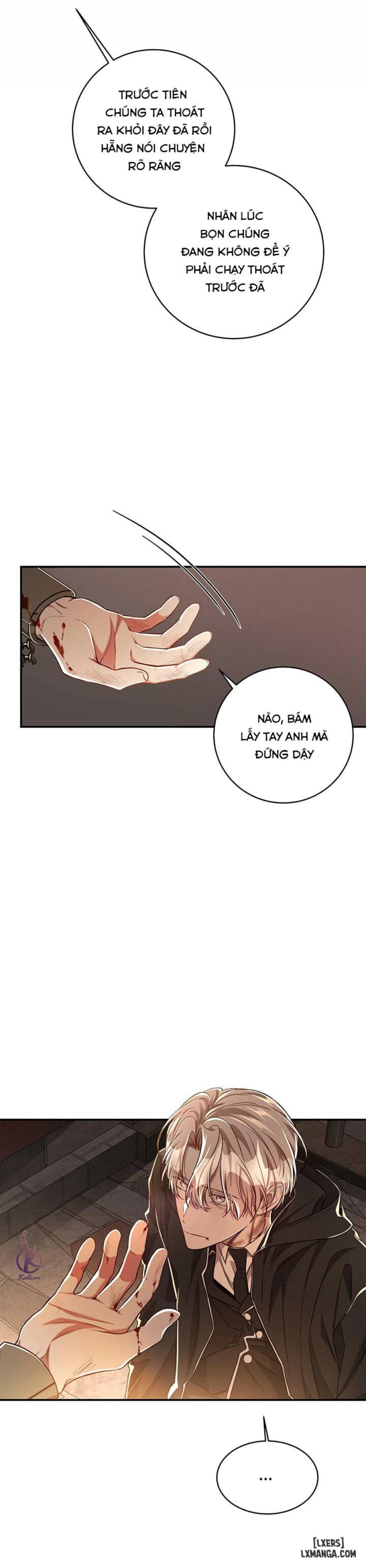 Quả táo lớn 