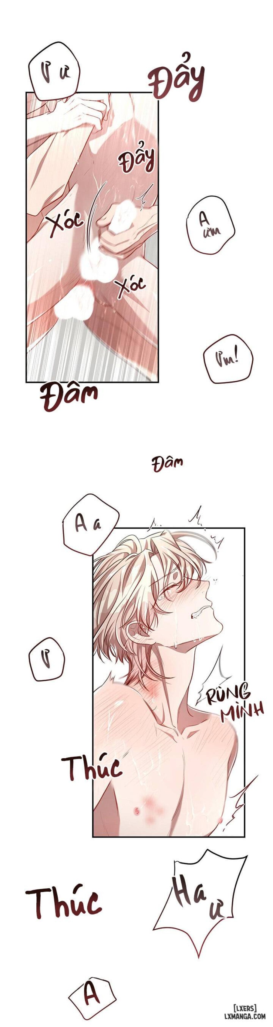 Quả táo lớn 