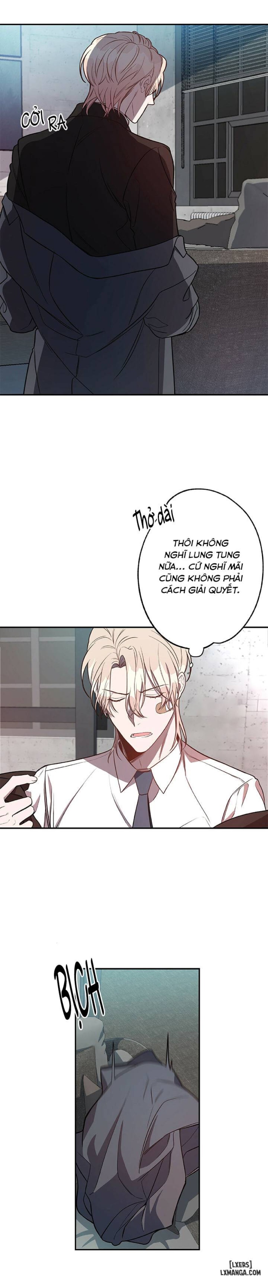 Quả táo lớn 