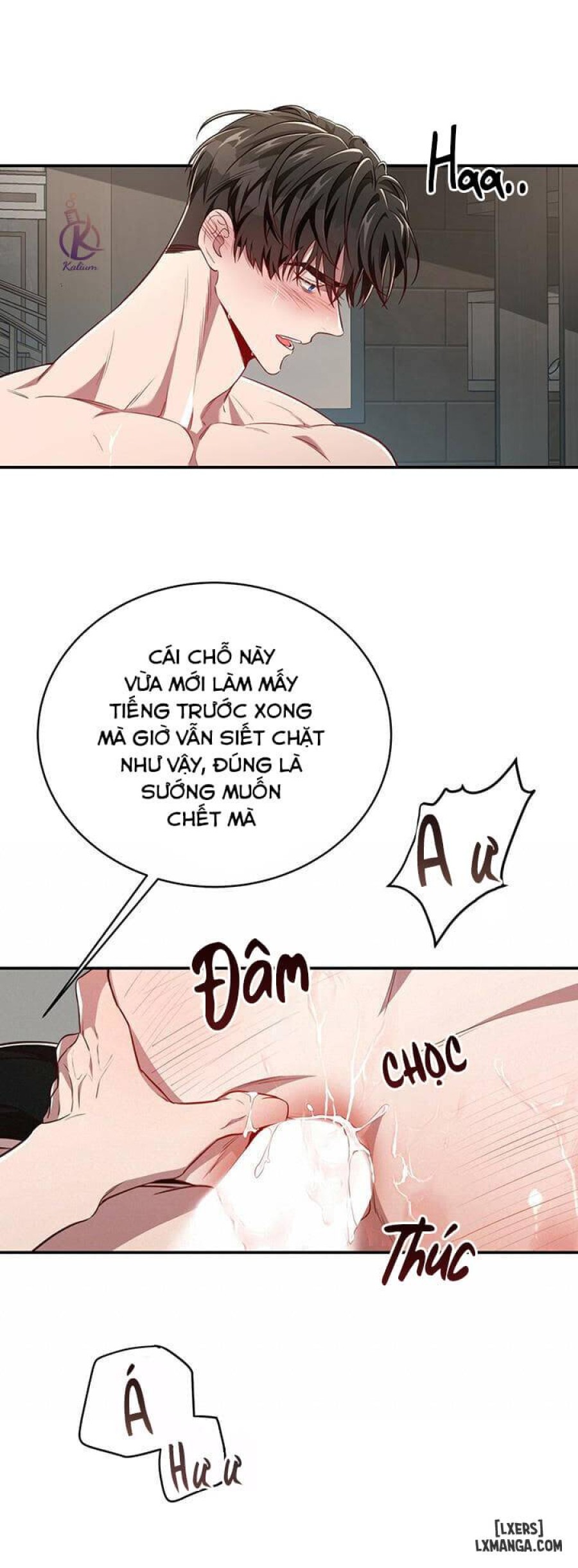 Quả táo lớn 