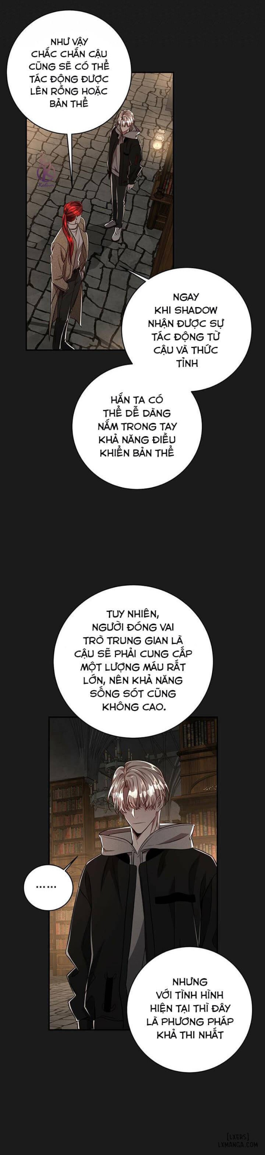 Quả táo lớn 