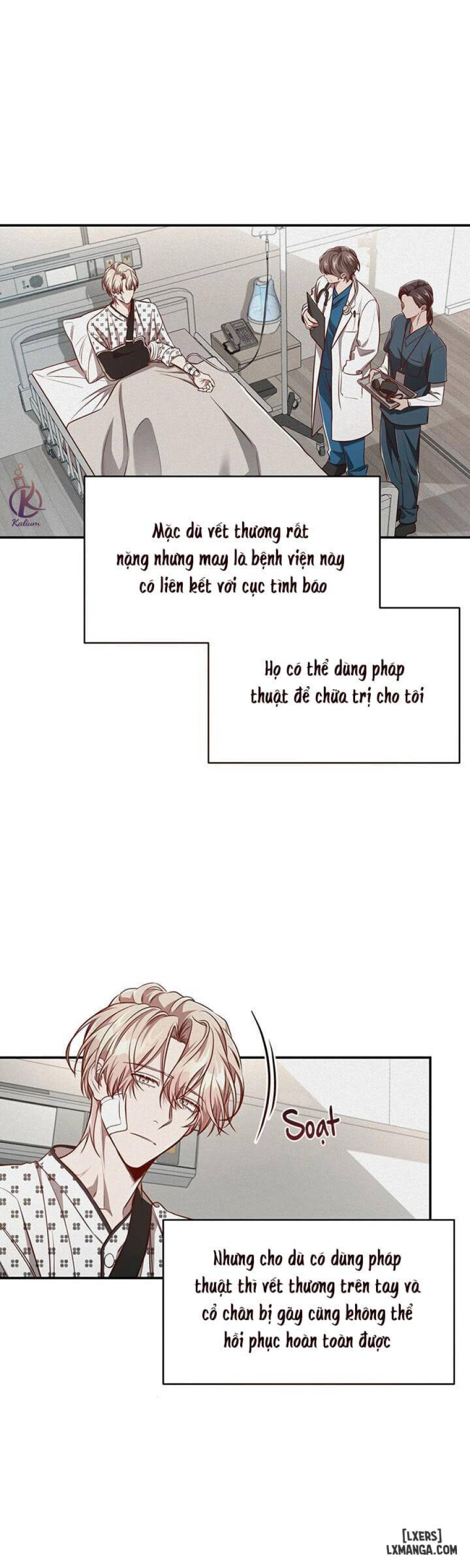 Quả táo lớn 