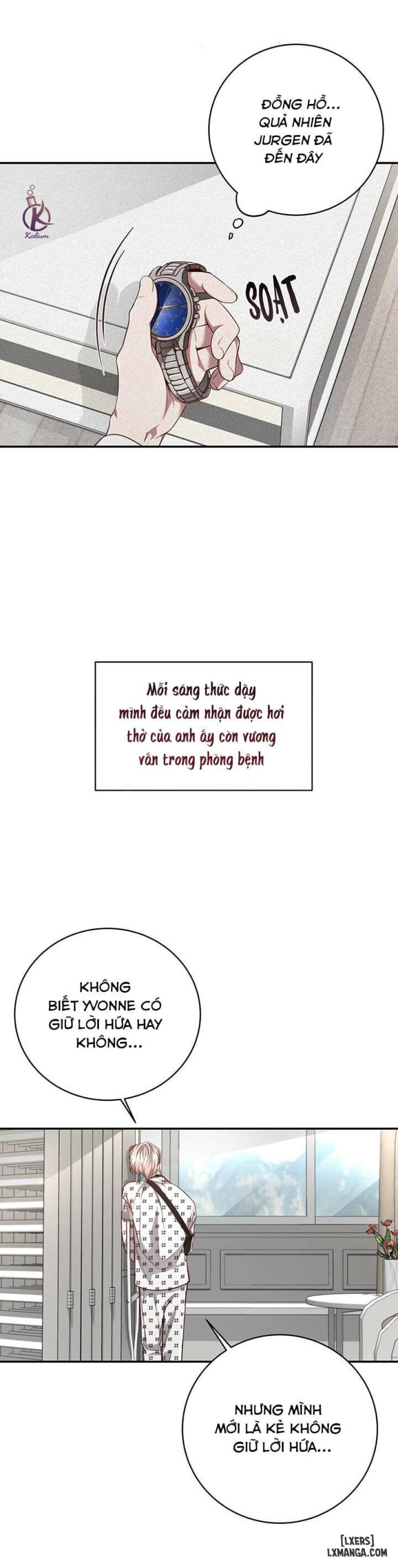 Quả táo lớn 