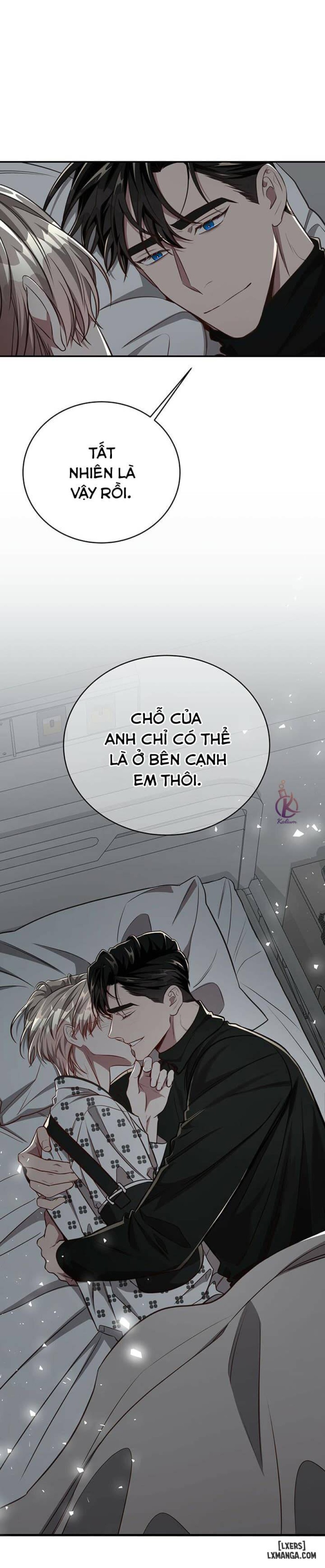 Quả táo lớn 